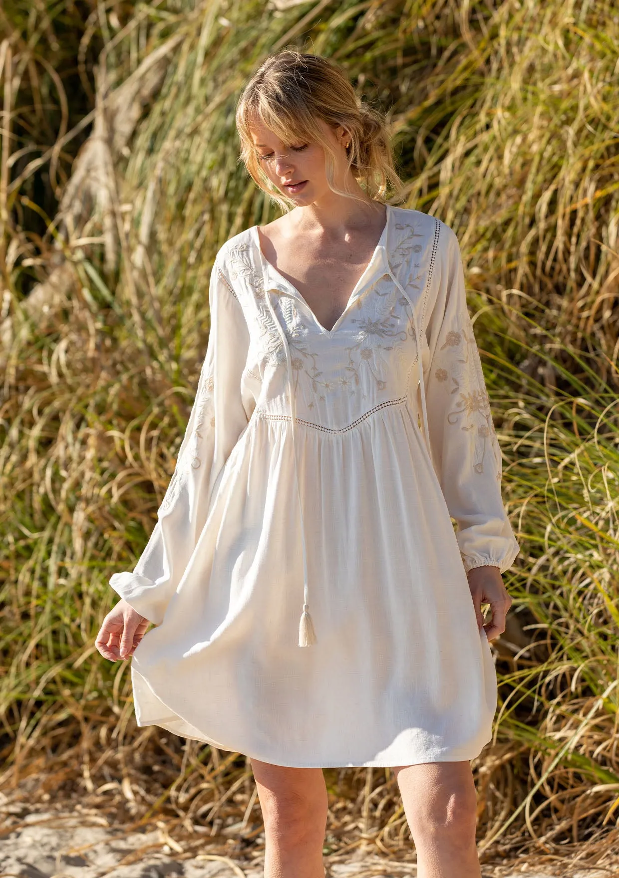 Malin Embroidered Mini Dress